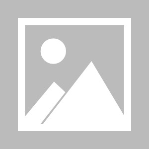 开云app-武一帆：四冠封王天下无双！一切尽在安帅盘算中